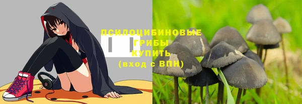 2c-b Кинешма