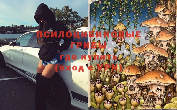 МДПВ Коряжма