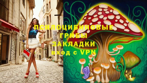 прущие грибы Киренск