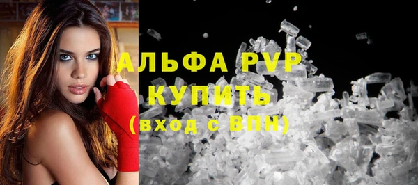 прущие грибы Киренск